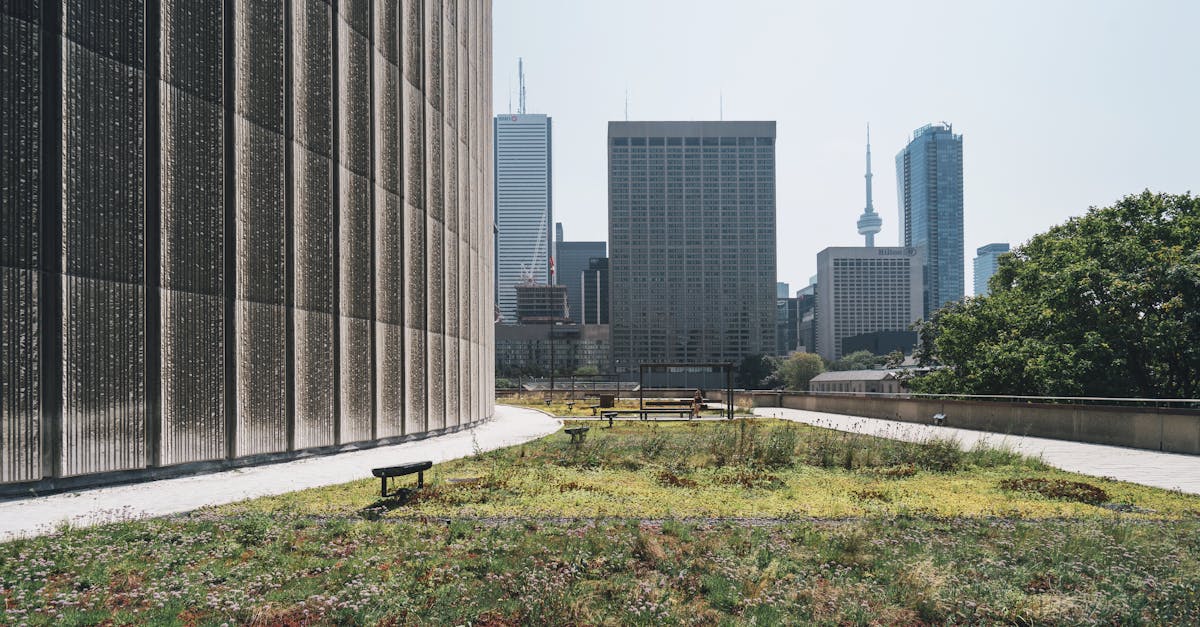 découvrez les enjeux et les solutions liées à la durabilité, abordant des pratiques écoresponsables et des innovations pour un avenir respectueux de l'environnement.