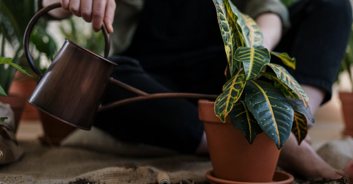 découvrez des conseils pratiques et des inspirations pour adopter un mode de vie durable. apprenez à réduire votre empreinte écologique, à consommer de manière responsable et à intégrer des pratiques éco-responsables dans votre quotidien.