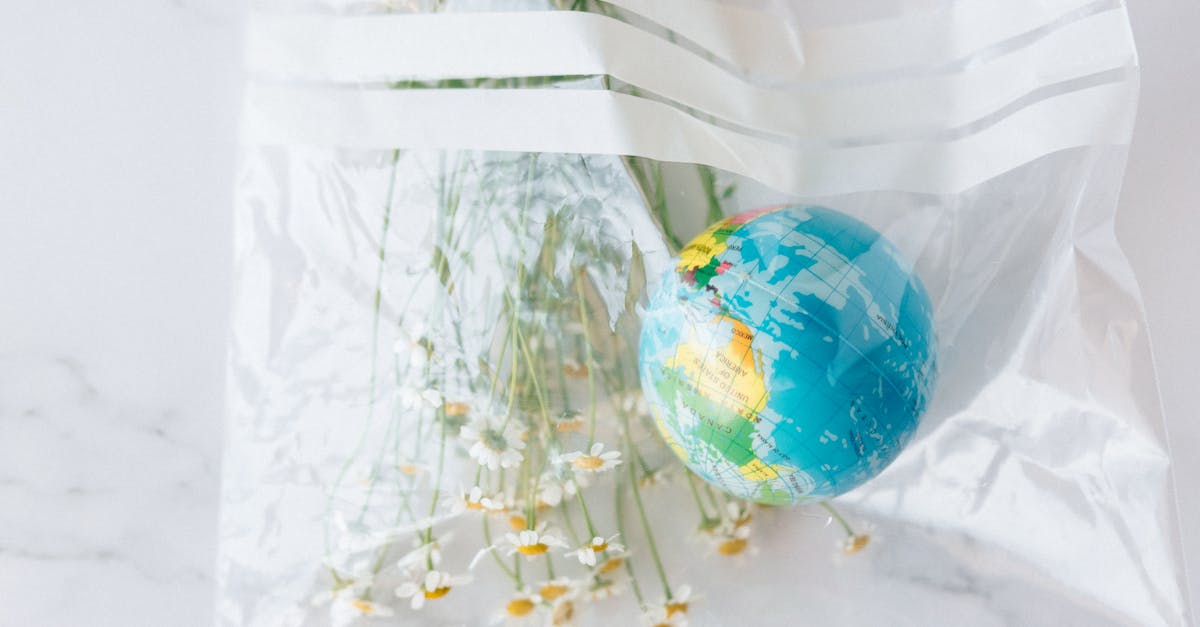 découvrez l'importance de la responsabilité environnementale et comment chaque individu peut contribuer à la protection de notre planète. explorez des pratiques durables, des initiatives écologiques et des conseils pour un mode de vie plus respectueux de l'environnement.