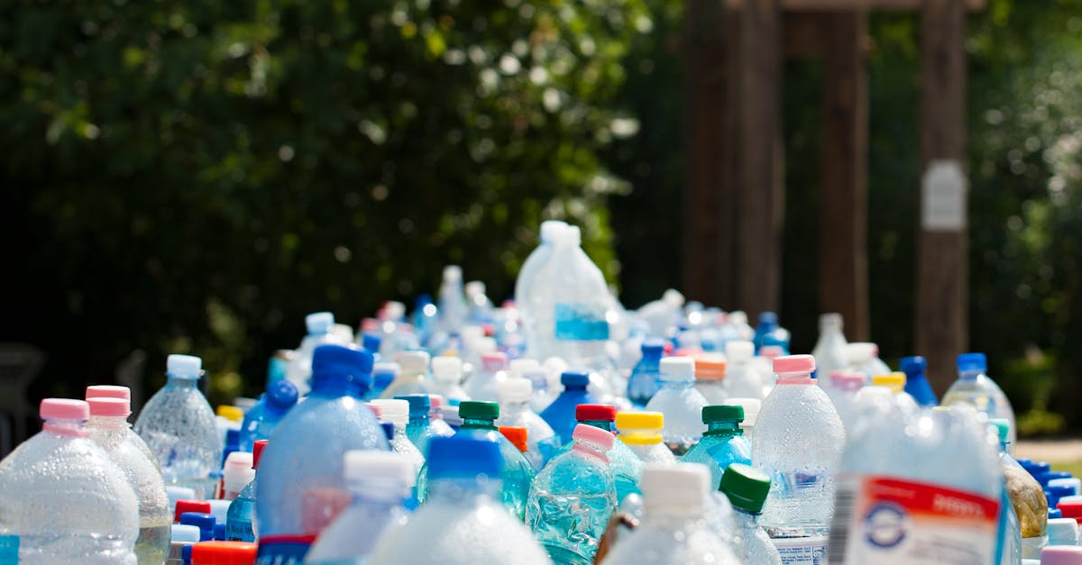 découvrez des stratégies efficaces de prévention des déchets pour réduire votre impact environnemental. apprenez à adopter des pratiques durables et à minimiser les déchets dans votre quotidien.
