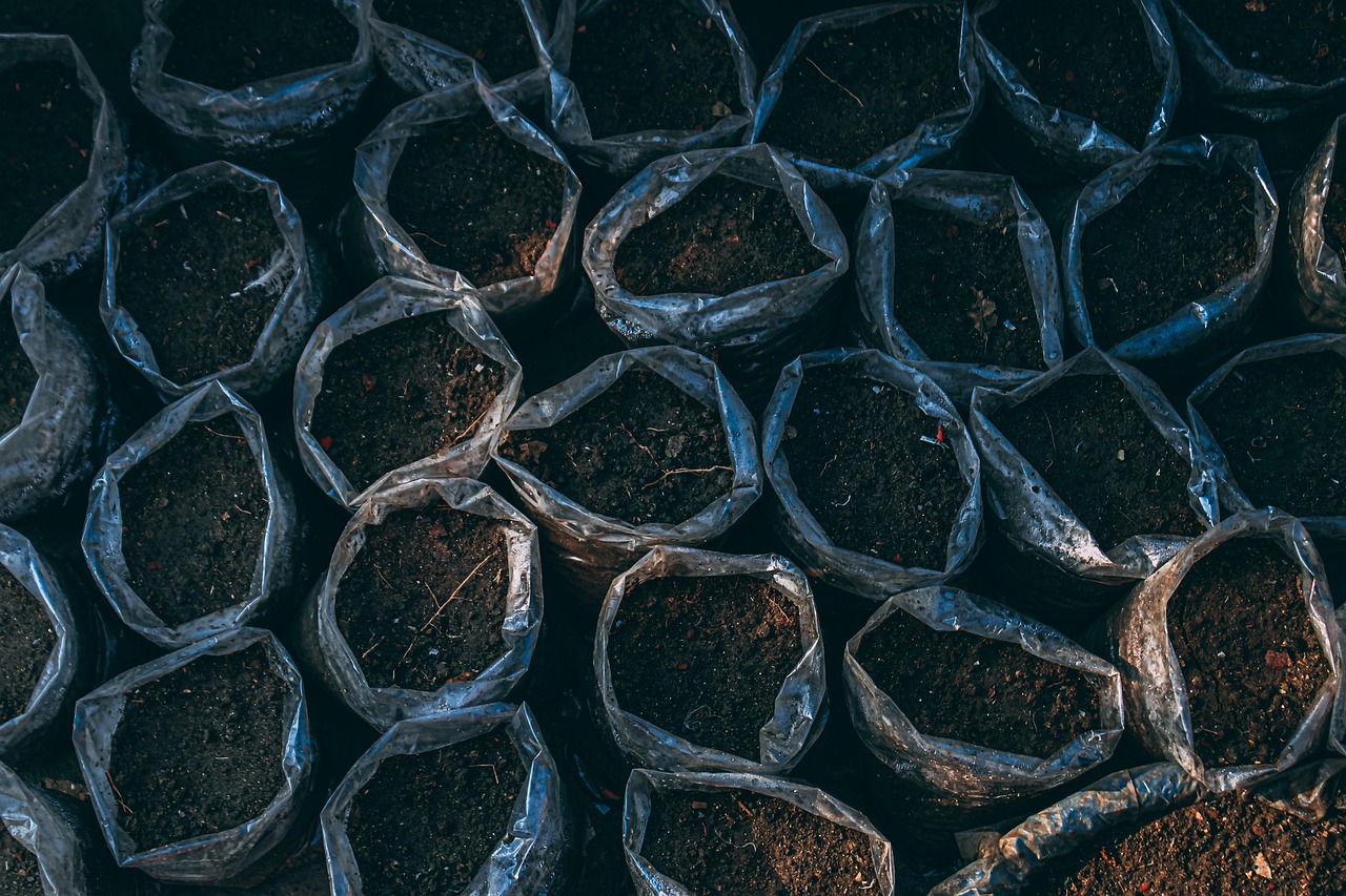 découvrez des astuces pour un jardinage bio sur balcon, cultivez vos herbes aromatiques et légumes de manière naturelle et écologique.