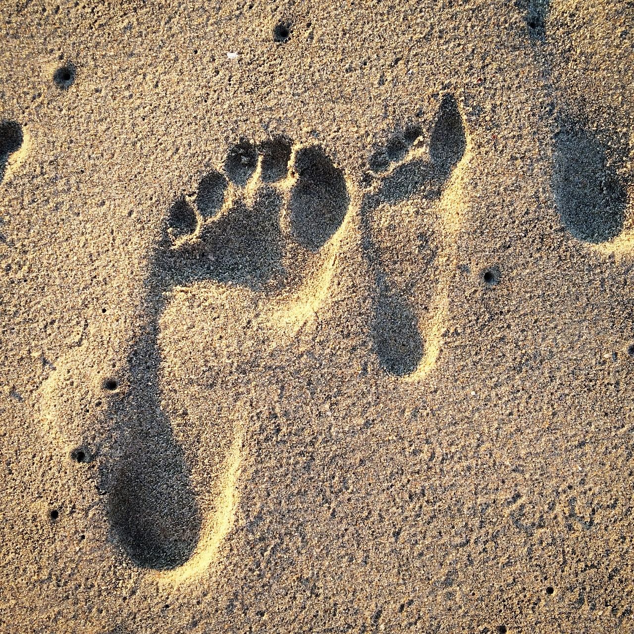 découvrez tout sur l'empreinte carbone, son impact sur l'environnement et des conseils pratiques pour réduire votre consommation quotidienne. agissez pour un avenir durable!