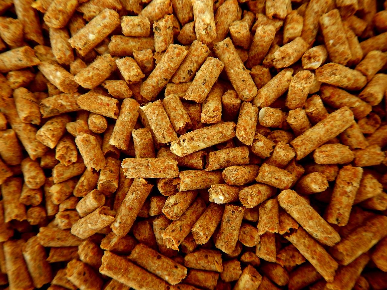 campagne d'achat en gros de granulés de bois : bénéficiez de tarifs avantageux pour un approvisionnement durable et économique en pellets de bois.