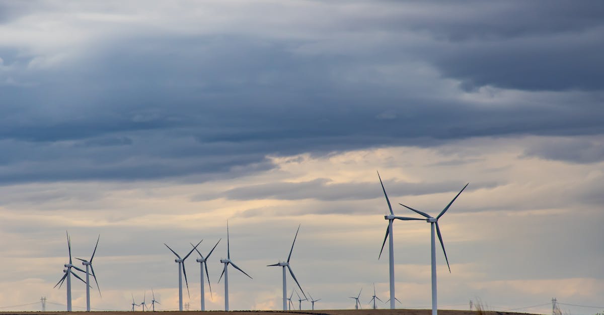 découvrez l'énergie éolienne, une source d'énergie renouvelable propre et durable. apprenez comment cette technologie innovante transforme le paysage énergétique mondial et contribue à la lutte contre le changement climatique.