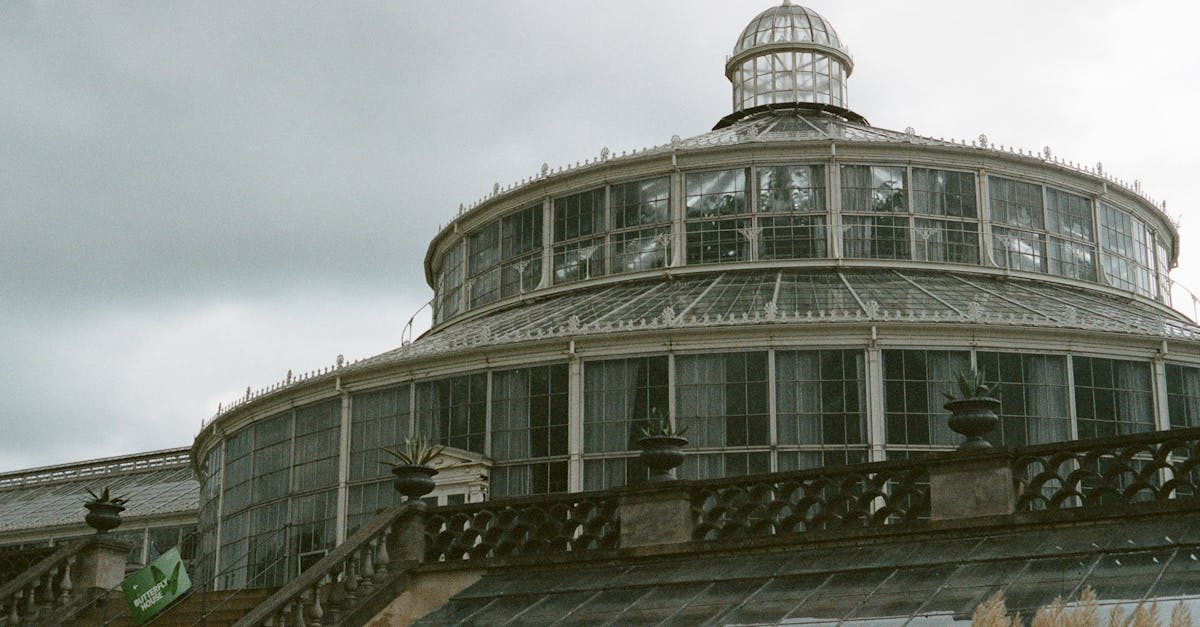 découvrez l'importance de la conservation des ressources naturelles et du patrimoine culturel. apprenez des techniques et des stratégies pour protéger notre environnement et assurer un avenir durable pour les générations futures.