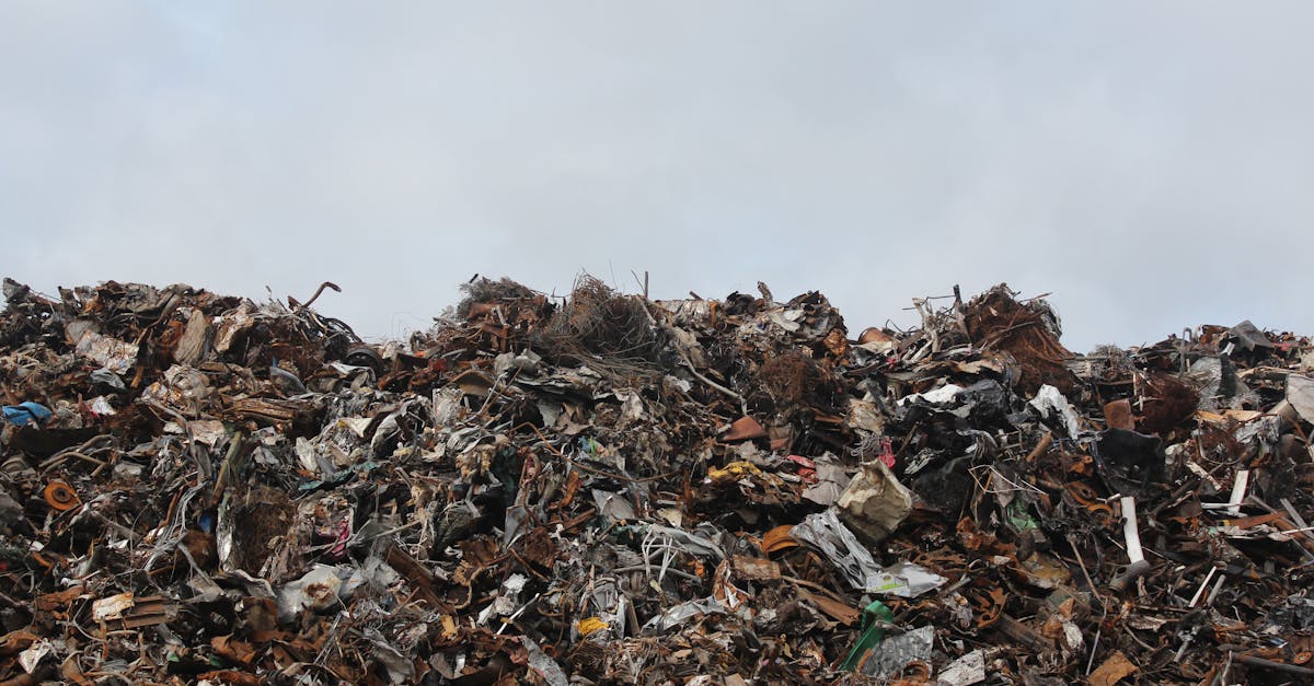 découvrez l'impact environnemental des activités humaines et comment nous pouvons agir pour préserver notre planète. explorez les enjeux écologiques, les solutions durables et les initiatives concrètes pour un avenir plus vert.