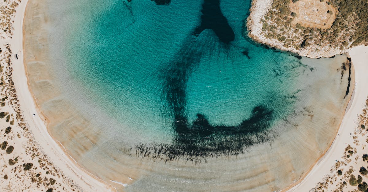 découvrez l'essence de la naturalité avec notre exploration des bienfaits de la nature. apprenez comment intégrer des éléments naturels dans votre quotidien pour favoriser un mode de vie équilibré et sain.