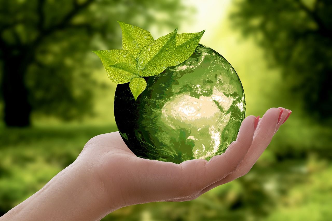 découvrez l'écologie durable : principes, solutions et actions concrètes pour protéger l’environnement tout en préservant les ressources naturelles, afin de construire un avenir écologique et responsable.