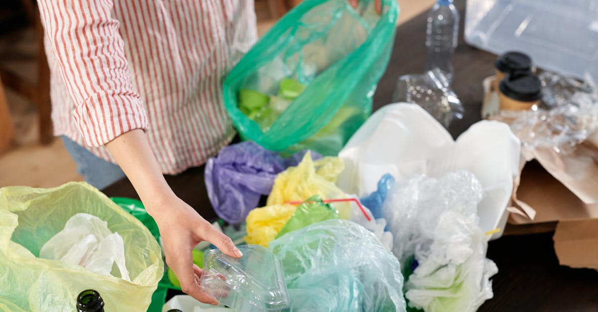 découvrez l'engagement en faveur de la protection de notre planète à travers l'environnementalisme. explorez les initiatives, les pratiques durables et les mouvements qui œuvrent pour un avenir plus vert et responsable.