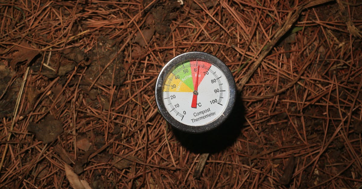 découvrez l'écologie numérique, un champ interdisciplinaire qui explore l'impact des technologies numériques sur l'environnement. apprenez comment la transformation digitale influence nos modes de vie et contribue à la durabilité. rejoignez le mouvement vers une utilisation responsable des outils numériques pour préserver notre planète.