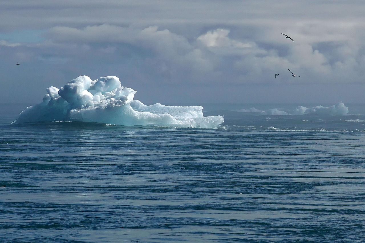 découvrez les initiatives et solutions pour lutter contre le changement climatique et promouvoir un avenir durable grâce à l'action climatique.