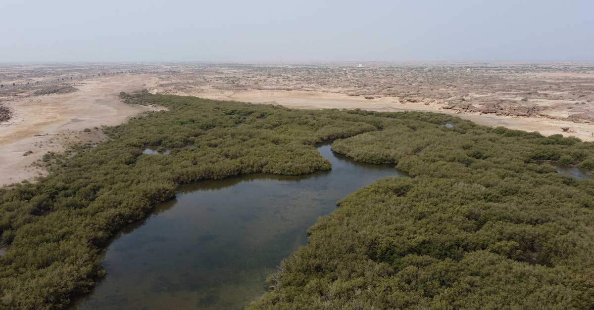 découvrez des stratégies efficaces pour l'adaptation au changement climatique. explorez les initiatives et solutions innovantes qui aident les communautés à s'ajuster aux défis environnementaux croissants.