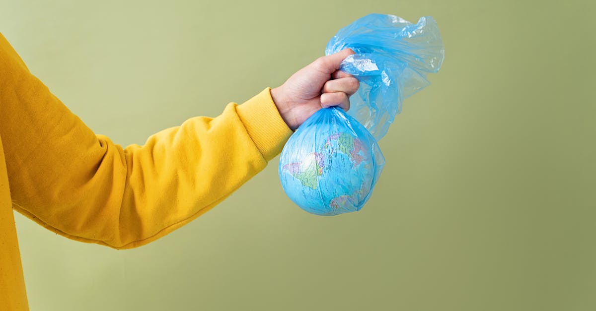 découvrez comment construire un futur durable grâce à des pratiques respectueuses de l'environnement, des innovations écologiques et des choix responsables qui préservent notre planète pour les générations à venir.