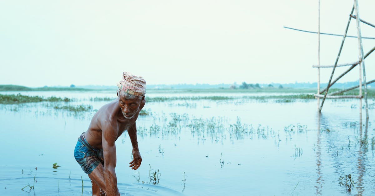 découvrez les conventions environnementales qui façonnent la protection de notre planète. explorez les accords internationaux visant à lutter contre le changement climatique, préserver la biodiversité et promouvoir un développement durable. informez-vous sur les initiatives essentielles pour un avenir meilleur.