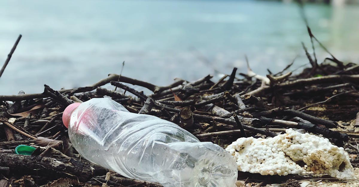 découvrez des stratégies efficaces de prévention des déchets pour réduire votre impact environnemental. apprenez à optimiser vos ressources et à adopter des pratiques durables au quotidien.