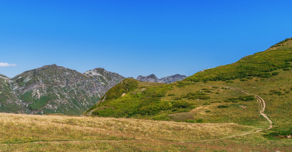 découvrez l'écologie numérique : un concept innovant qui allie technologie et durabilité, visant à réduire l'impact environnemental du numérique tout en promouvant un usage responsable des ressources digitales.