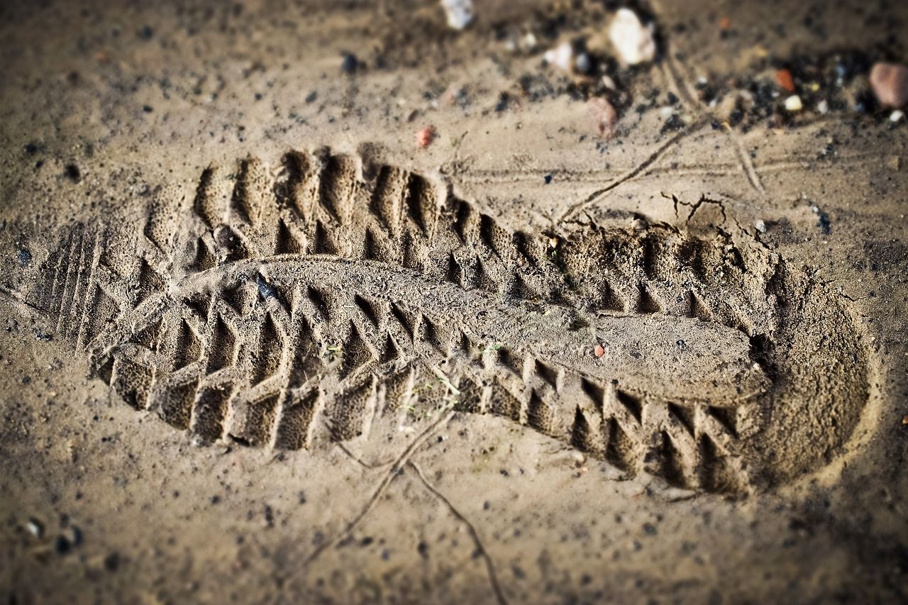 découvrez l'empreinte carbone, un indicateur essentiel pour comprendre l'impact environnemental de nos activités. apprenez comment réduire votre empreinte écologique et contribuer à la lutte contre le changement climatique.