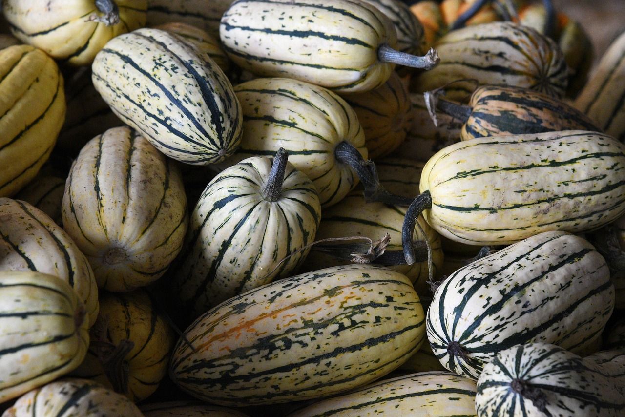 découvrez les bienfaits des produits de saison : fraîcheur, saveurs authentiques et respect de l'environnement tout au long de l'année.