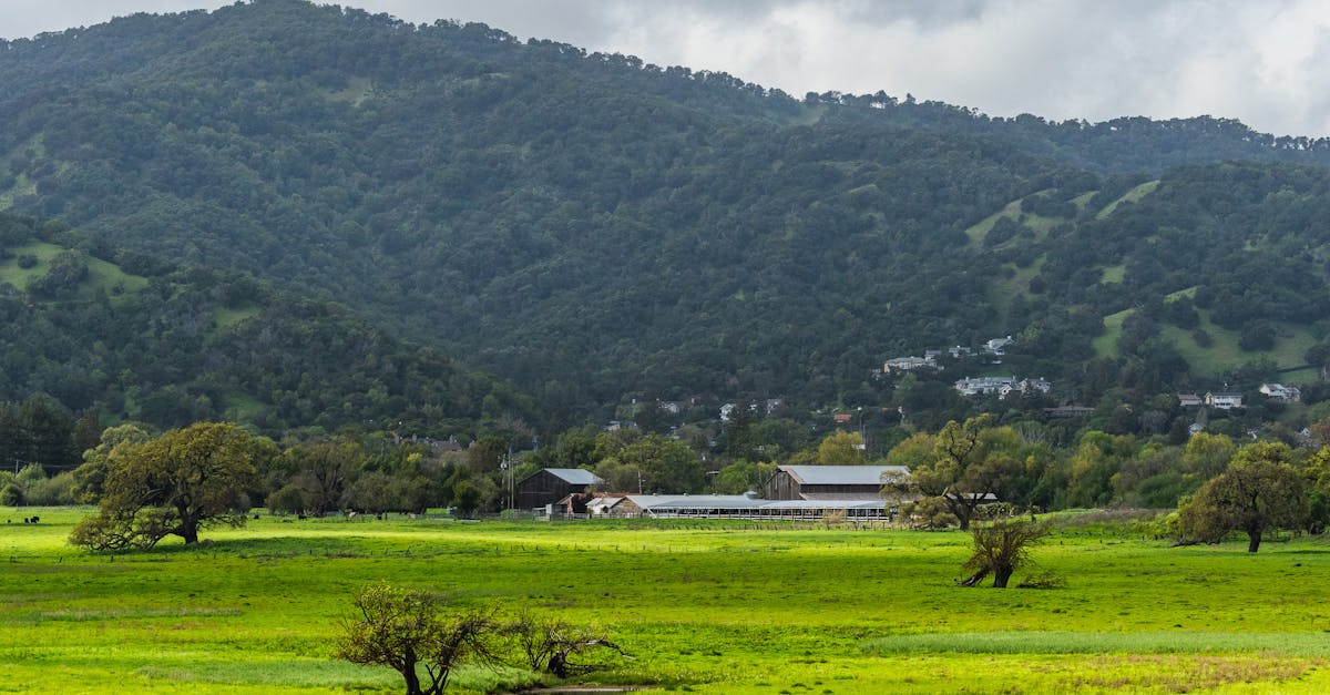 découvrez l'agriculture durable, une approche qui combine pratiques respectueuses de l'environnement, préservation des ressources naturelles et amélioration des rendements agricoles. apprenez comment ces techniques innovantes favorisent la biodiversité et garantissent une alimentation saine pour les générations futures.