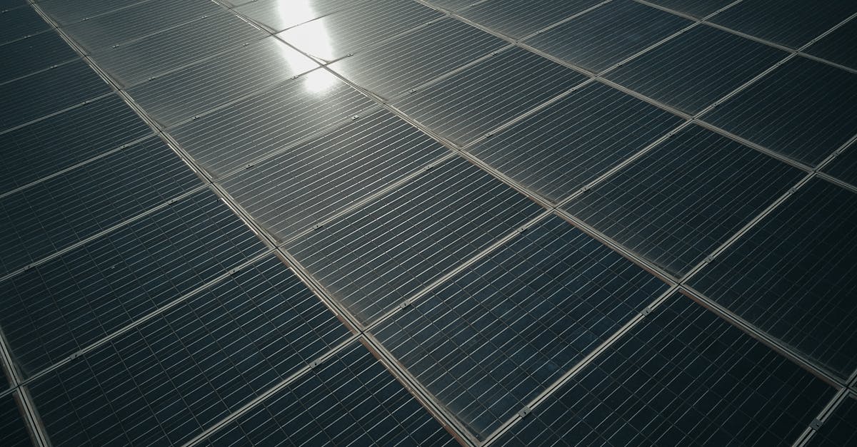 découvrez comment bâtir un avenir durable grâce à des pratiques éco-responsables, des innovations vertes et une sensibilisation collective. rejoignez le mouvement pour un monde meilleur!