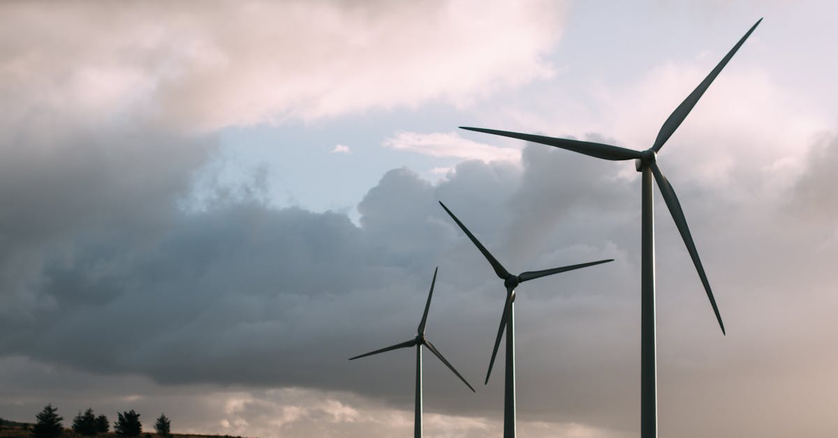 découvrez les principes du développement durable, une approche essentielle pour préserver notre planète et garantir un avenir viable. explorez comment allier progrès économique, équité sociale et protection de l'environnement.