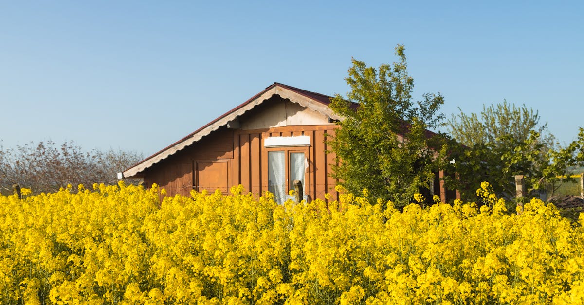découvrez l'agriculture régénératrice, une approche innovante qui rétablit la santé des sols, favorise la biodiversité et lutte contre le changement climatique. apprenez comment cette pratique durable transforme l'agriculture moderne en préservant l'environnement et en soutenant les communautés locales.