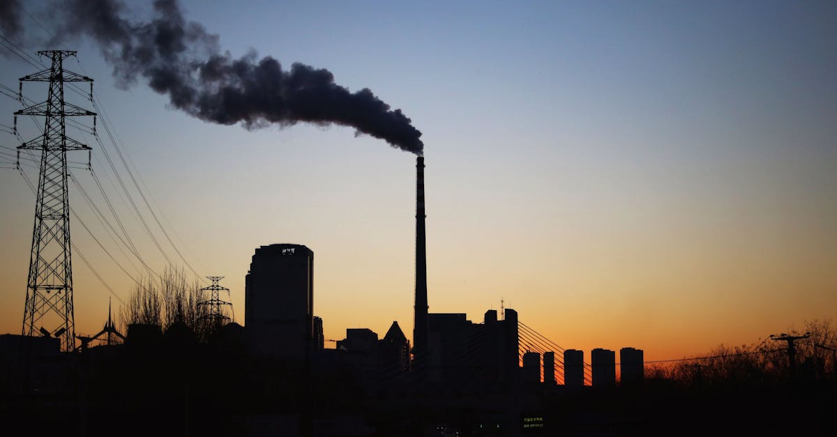 découvrez l'impact des émissions de carbone sur notre environnement et la santé de la planète. informez-vous sur les sources, les conséquences et les solutions pour réduire cet enjeu crucial du changement climatique.