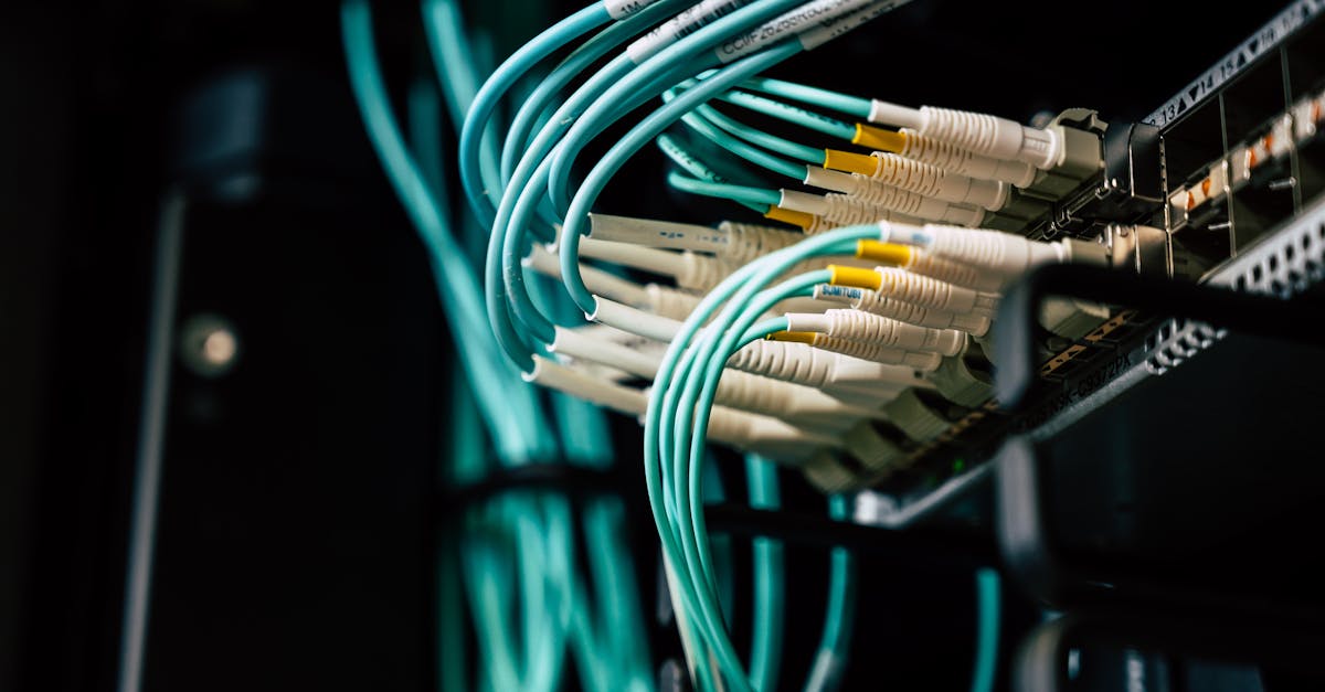 découvrez l'art du networking : développez votre réseau professionnel, établissez des connexions significatives et boostez votre carrière grâce à des stratégies efficaces pour créer des relations durables.