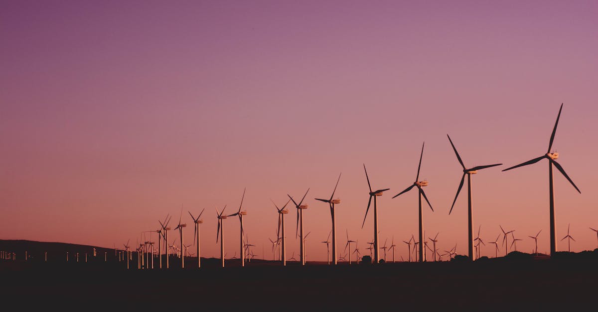 découvrez comment la durabilité façonne notre avenir, en explorant des pratiques respectueuses de l'environnement, des innovations écologiques et des conseils pour un mode de vie plus durable.