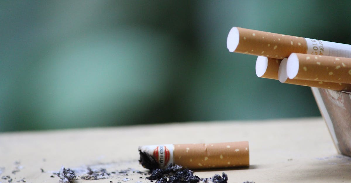 découvrez comment la valorisation des déchets transforme les résidus en ressources précieuses, contribuant ainsi à un avenir durable et à la protection de l'environnement. apprenez les différentes techniques et innovations dans ce domaine clé.