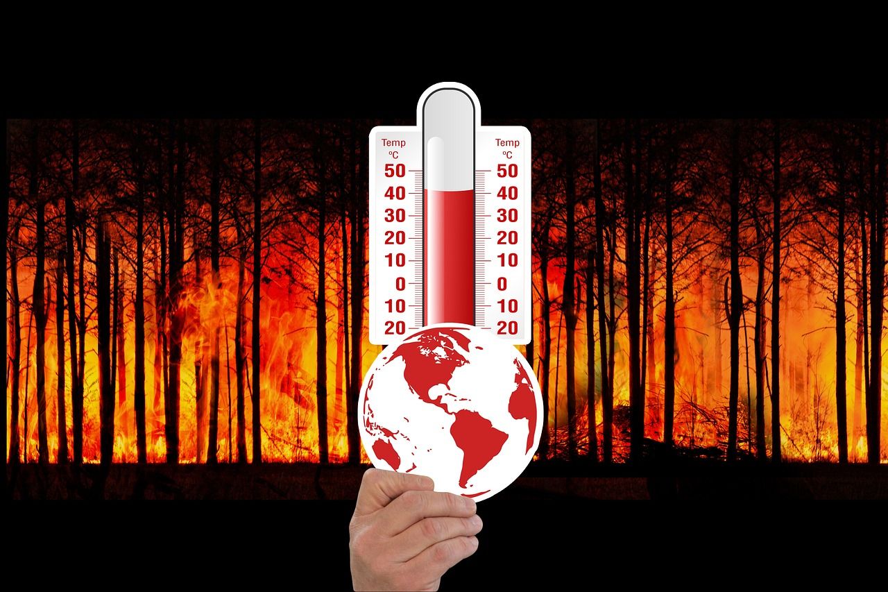 découvrez comment s’adapter efficacement au changement climatique grâce à des stratégies innovantes, des solutions concrètes et des conseils pratiques pour protéger l’environnement et améliorer la résilience face aux nouveaux défis climatiques.