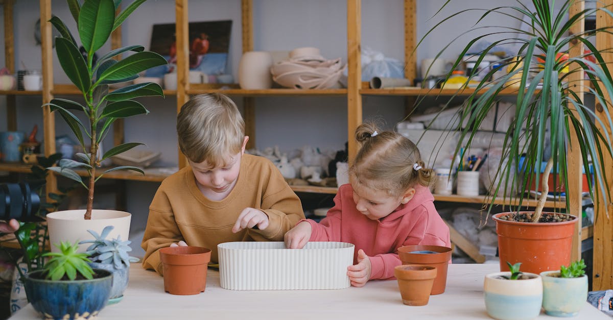 découvrez l'importance de l'éducation environnementale pour sensibiliser les jeunes générations aux enjeux écologiques. apprenez comment promouvoir des pratiques durables et préserver notre planète à travers des programmes éducatifs innovants et engageants.