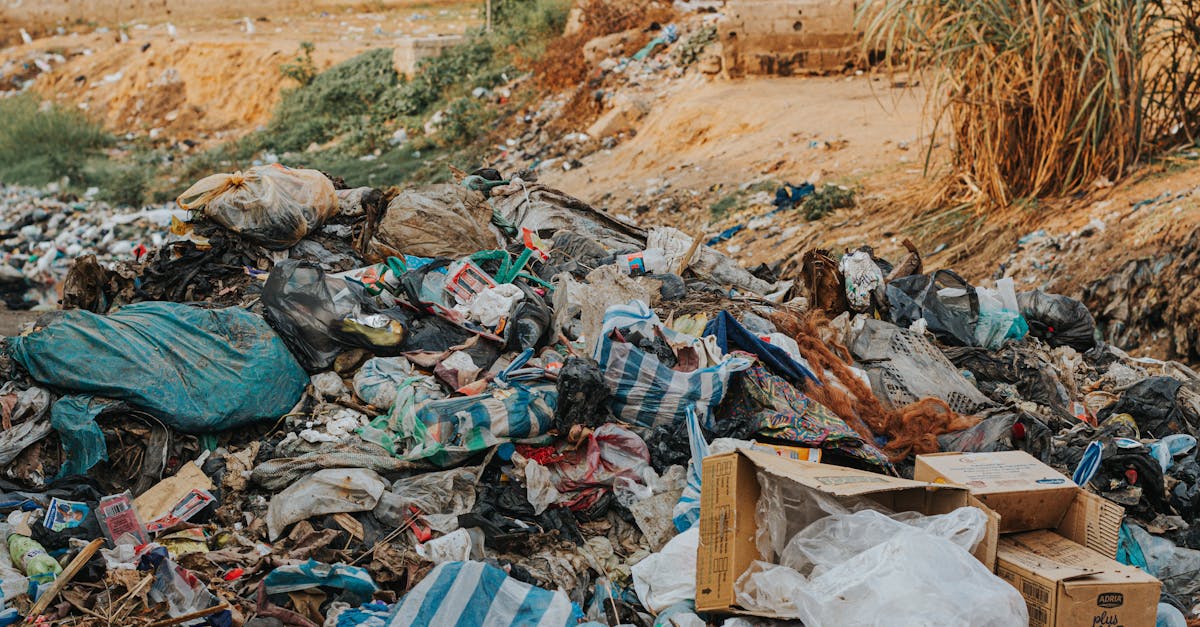 découvrez les défis écologiques majeurs auxquels notre planète est confrontée, explorez les solutions innovantes et engagez-vous dans des actions durables pour un avenir plus vert.