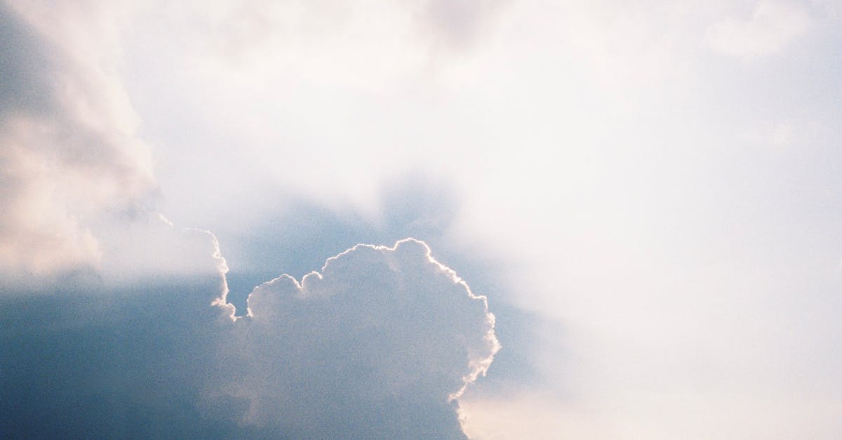 découvrez comment les politiques climatiques façonnent notre avenir, en favorisant la durabilité, la lutte contre le changement climatique et en encourageant des pratiques écoresponsables. informez-vous sur les initiatives clés et leur impact sur l'environnement.