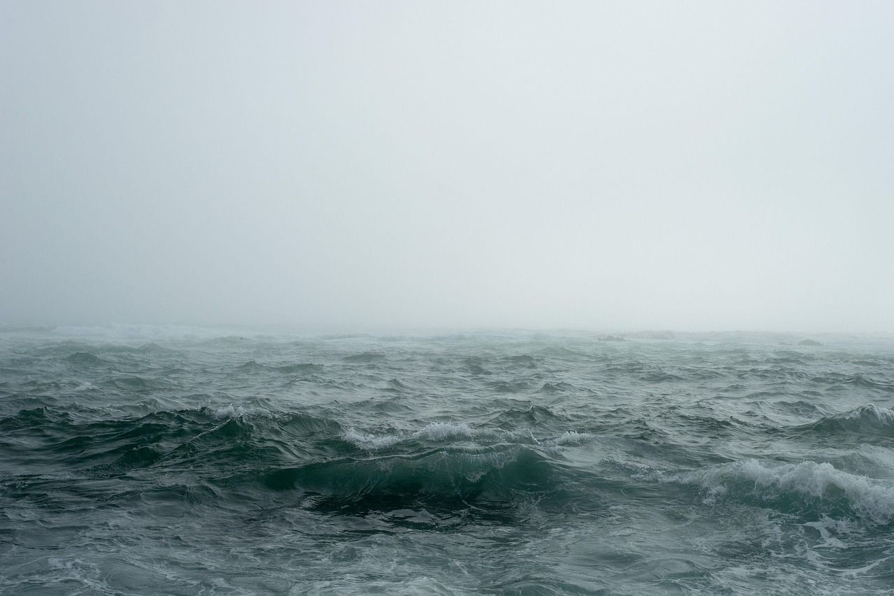 découvrez les causes et conséquences du réchauffement des océans, un phénomène inquiétant pour la biodiversité marine et le climat mondial.