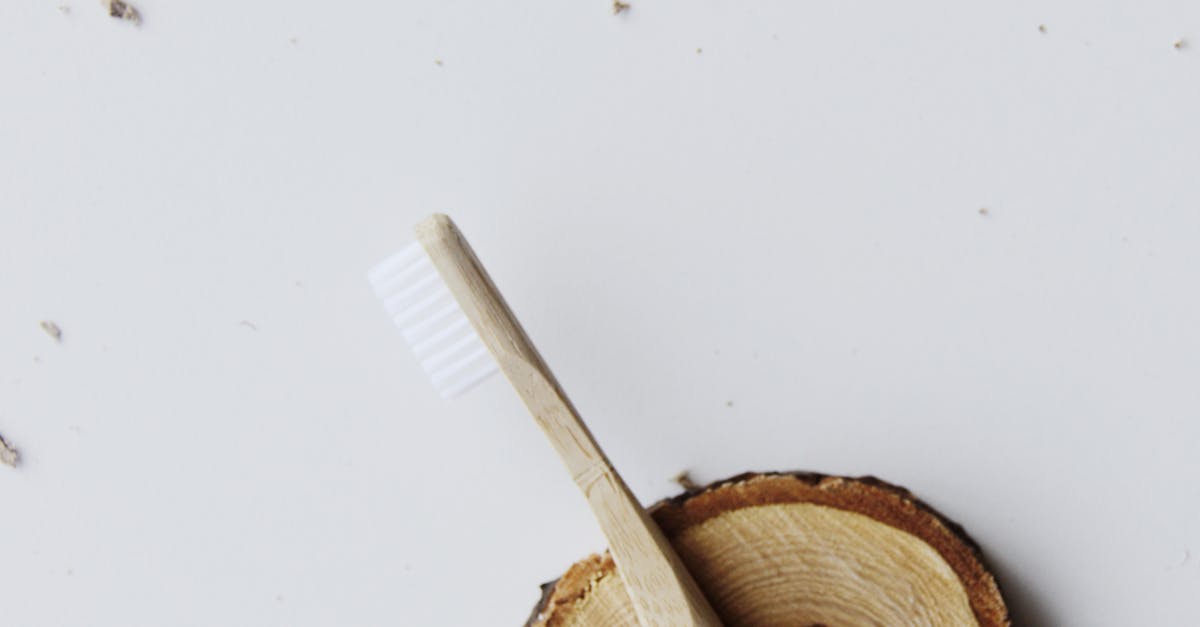 découvrez les fondements de l'éthique environnementale, une discipline qui explore la relation entre l'humain et la nature. apprenez comment les valeurs morales influencent nos choix écologiques et notre responsabilité envers la planète.