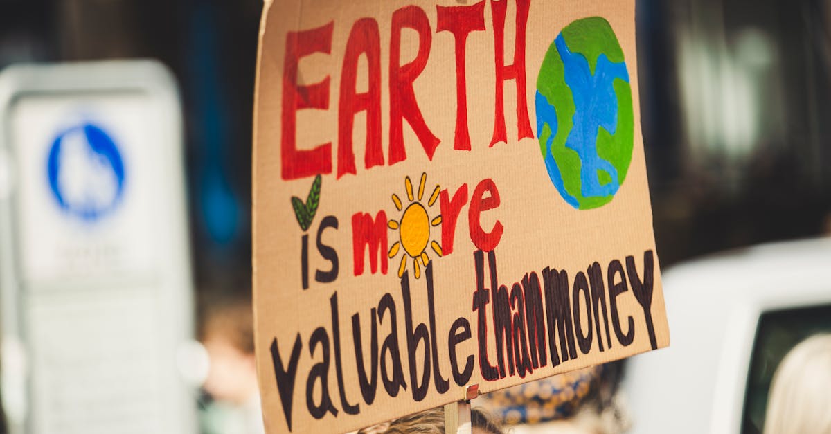 découvrez l'engagement écologique au cœur de nos actions pour un avenir durable. rejoignez-nous dans notre mission de préservation de la planète et apprenez comment chaque geste compte pour protéger notre environnement.