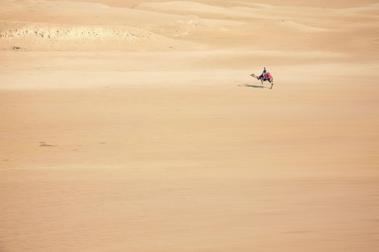découvrez des aventures palpitantes et inoubliables pour tous les passionnés de sensations fortes et de découvertes.
