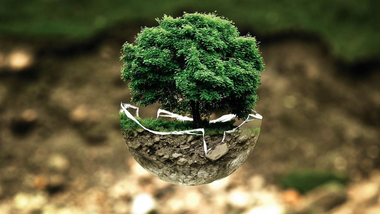 découvrez l'impact environnemental de nos activités, les causes principales de la pollution et des solutions pour préserver la planète. adoptez des gestes responsables pour un avenir durable.