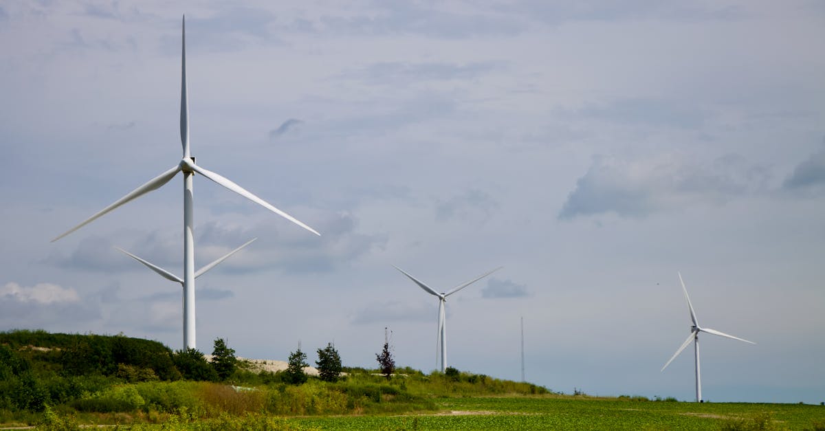 découvrez l'importance des infrastructures vertes pour un développement durable. explorez comment ces solutions innovantes améliorent la biodiversité, réduisent l'impact des inondations et enrichissent nos espaces urbains tout en favorisant un cadre de vie sain.