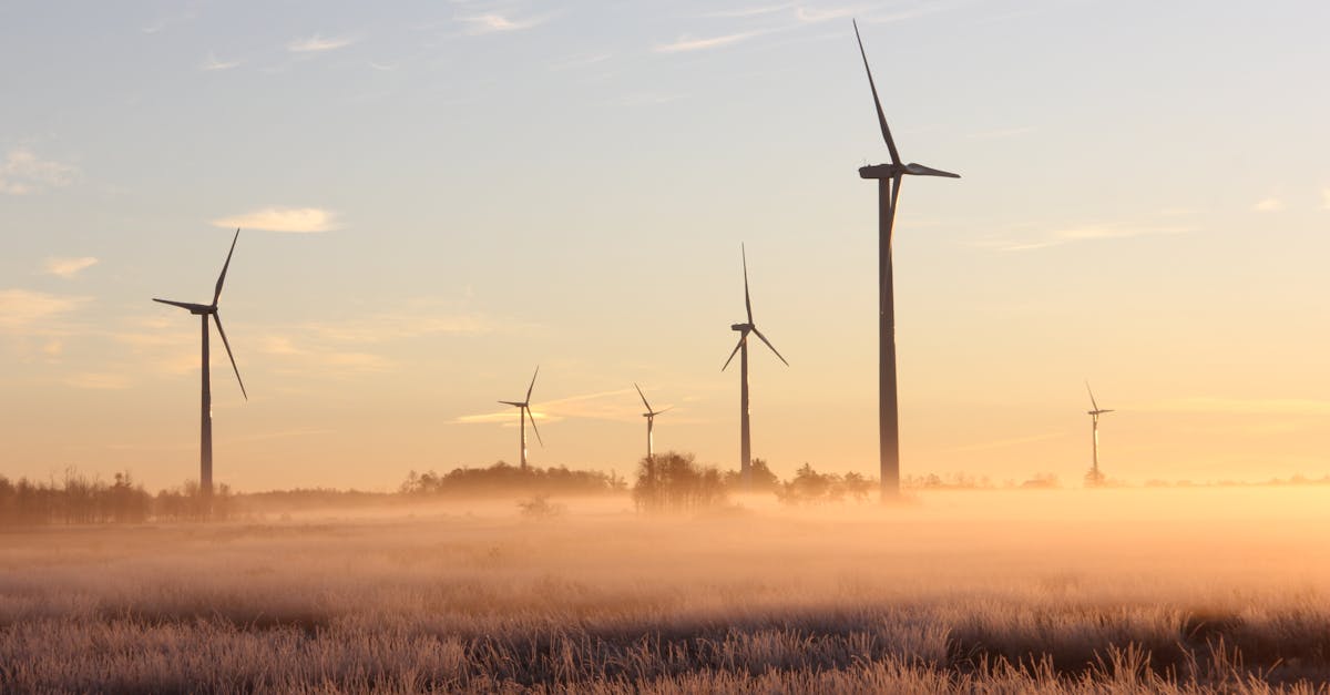 découvrez notre engagement envers la durabilité et apprenez comment investir dans l'avenir de notre planète. explorez des initiatives écoresponsables, des conseils pratiques pour un mode de vie durable et des solutions innovantes pour préserver notre environnement.