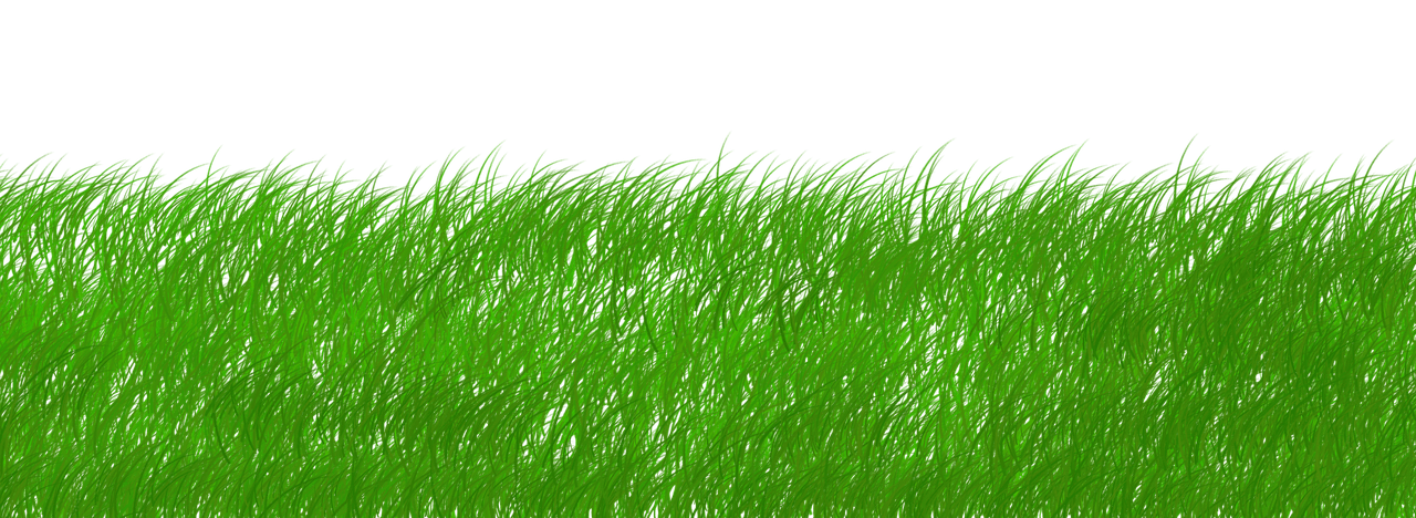 découvrez comment la souveraineté durable permet aux nations et aux organisations de préserver leur autonomie tout en respectant l’environnement et en favorisant un développement responsable.