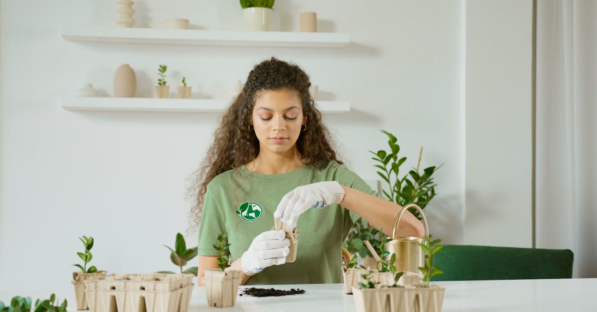 découvrez les stratégies de conservation des sols pour préserver notre environnement et garantir la durabilité des ressources. apprenez l'importance de la gestion des sols pour lutter contre l'érosion et maintenir la fertilité, tout en soutenant la biodiversité.