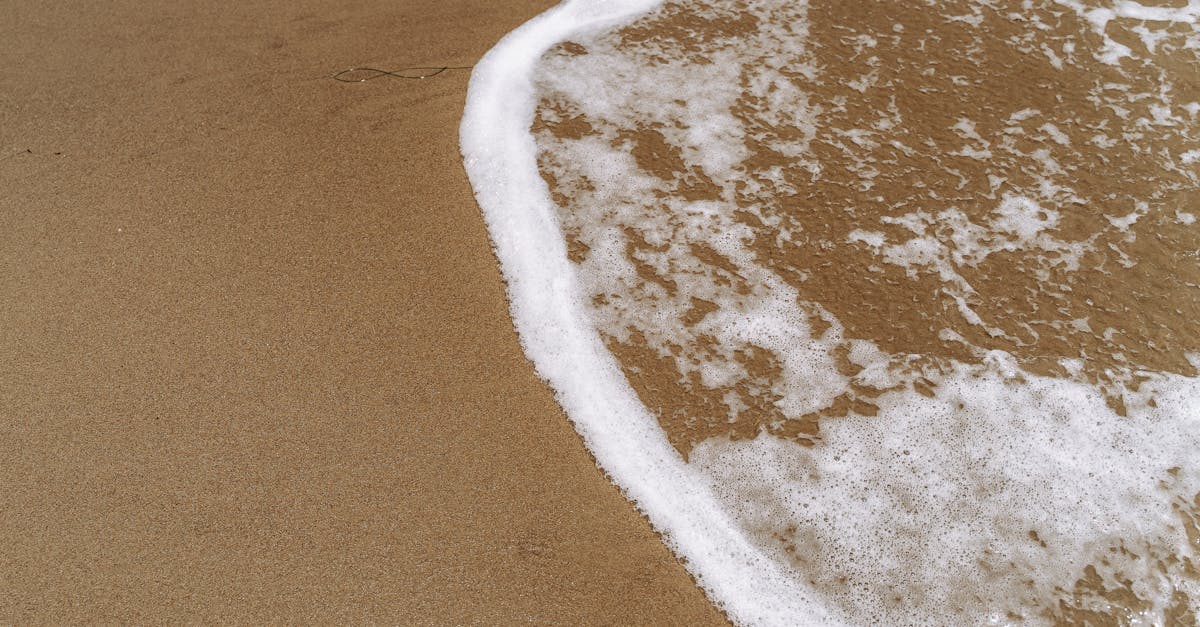 découvrez l'empreinte hydrique, un indicateur clé de notre consommation d'eau. apprenez comment chaque produit et activité contribue à la pression sur nos ressources en eau, et explorez des solutions pour réduire votre impact environnemental.