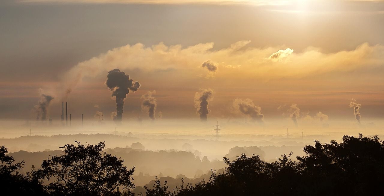découvrez l'importance de la préservation de l'environnement, ses enjeux pour la planète et les actions à adopter au quotidien pour protéger la biodiversité et assurer un avenir durable.