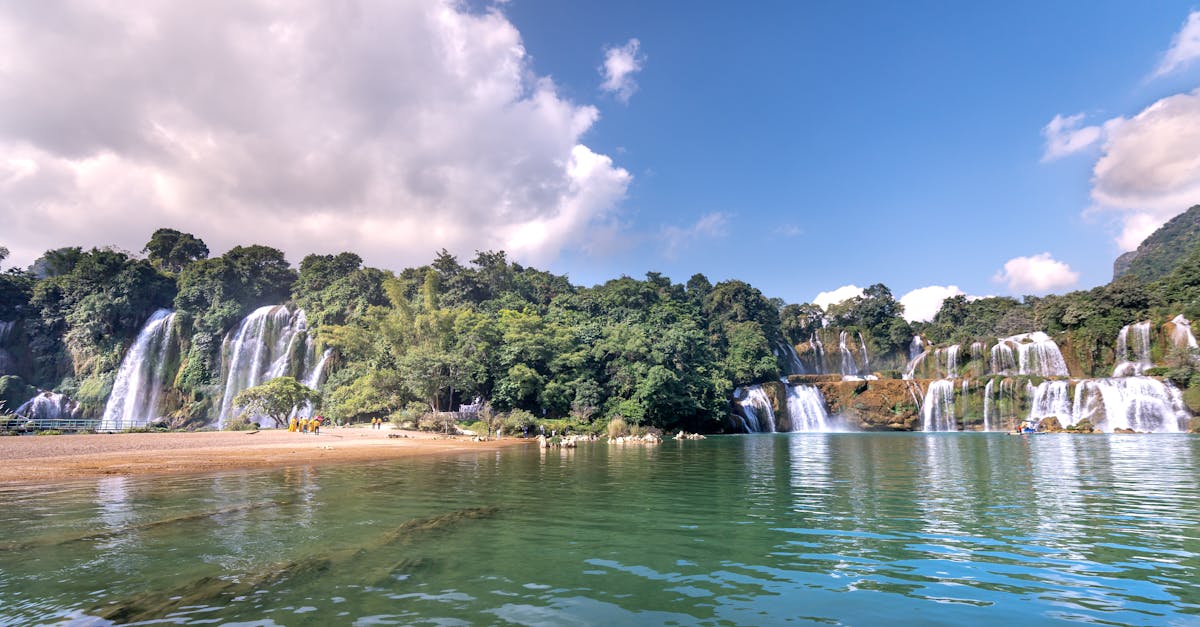 découvrez l'importance des ressources en eau, leur gestion durable et les défis liés à leur préservation pour l'environnement et les générations futures.