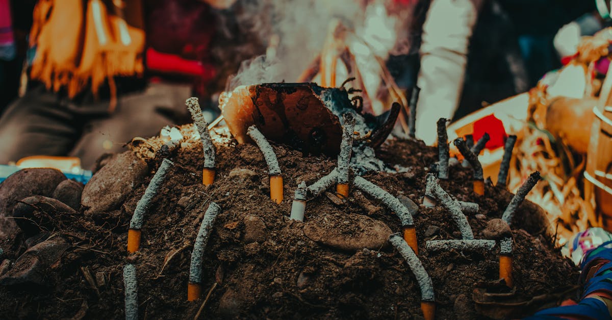 découvrez les enjeux liés aux risques environnementaux, leurs impacts sur la planète et les solutions pour les atténuer. informez-vous sur les défis écologiques actuels et comment agir pour un avenir durable.