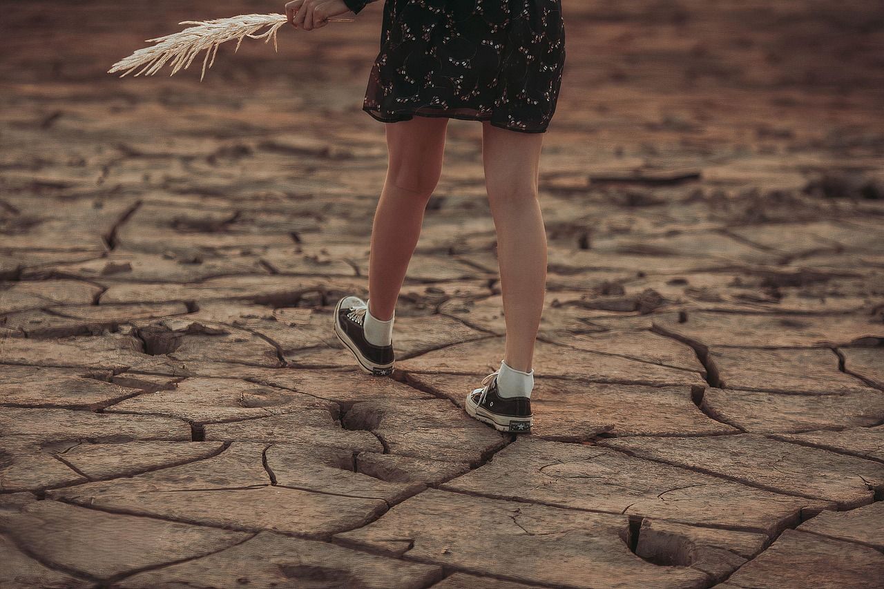 découvrez tout ce qu'il faut savoir sur l'empreinte carbone, son impact sur l'environnement et les stratégies pour la réduire. informez-vous sur les actions à entreprendre pour vivre de manière plus durable et contribuer à la lutte contre le changement climatique.