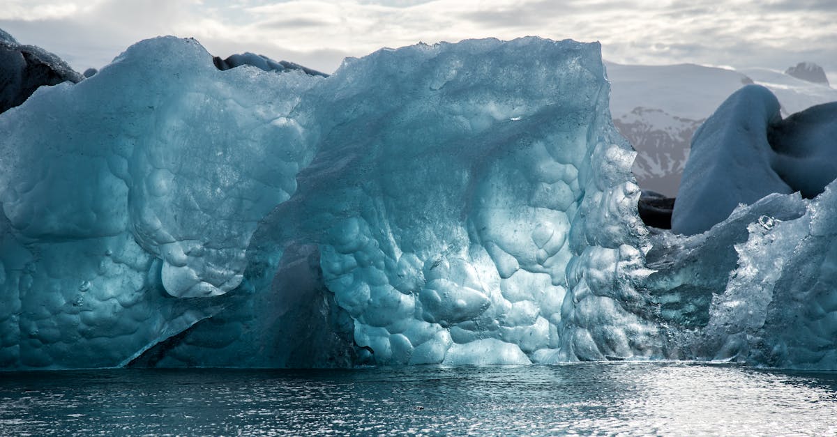 découvrez les enjeux cruciaux du changement climatique, ses impacts sur notre planète et les actions nécessaires pour lutter contre ce phénomène mondial qui nous concerne tous.