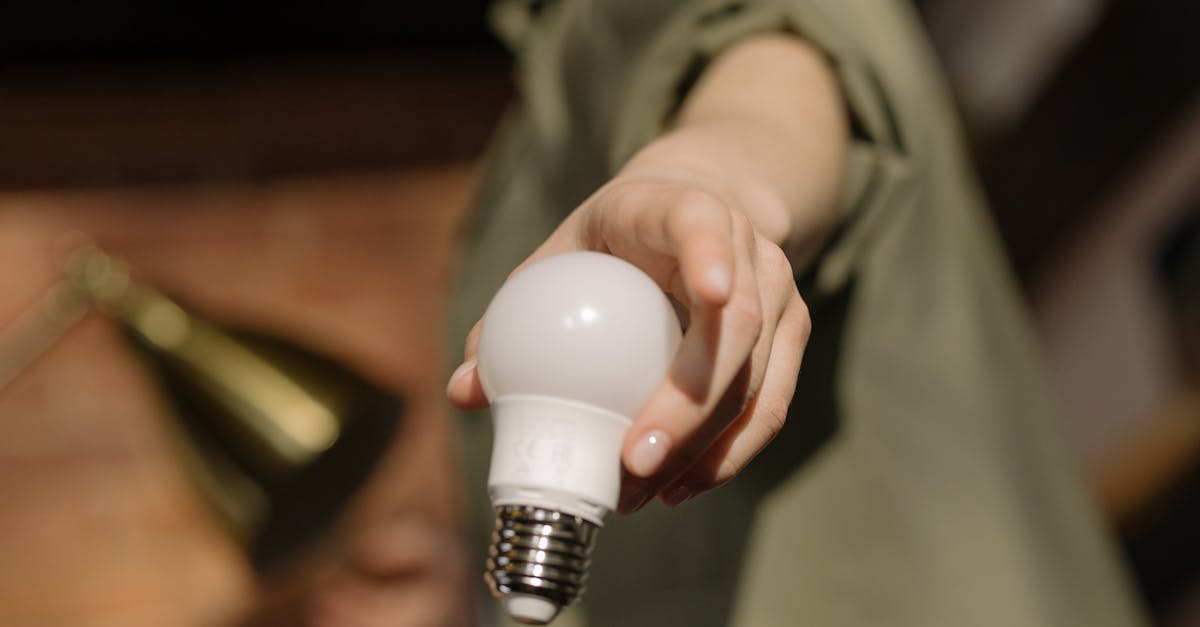 découvrez comment l'innovation durable transforme les entreprises et favorise un avenir écologique. explorez des solutions créatives, des technologies vertes et des pratiques responsables qui allient performance économique et protection de l'environnement.
